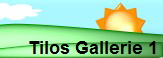 Tilos Gallerie 1